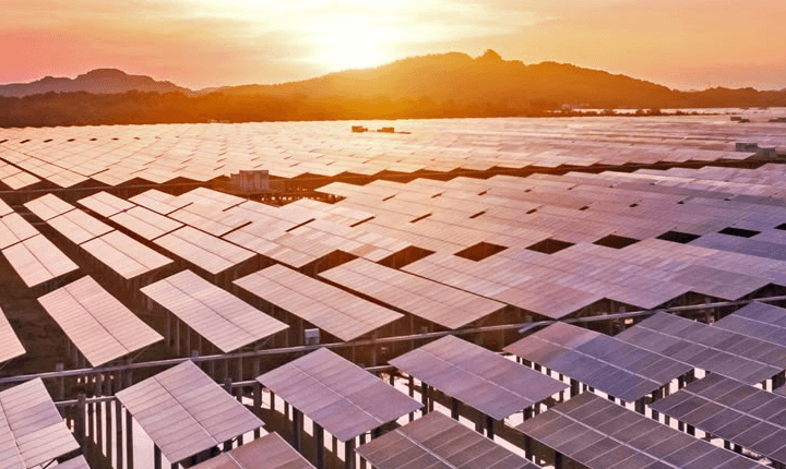 定制化贸易体验